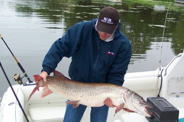 Derek catches unofficial state record Tiger Musky (52 inches) and lands  front page of Livingston Sports Section, August 2011